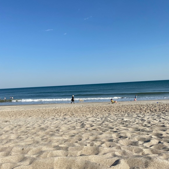 ✨ - Picture 6 of 16